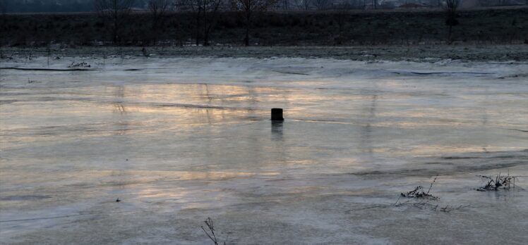 Edirne'de Tunca Nehri kenarındaki tarlalar soğuk nedeniyle buz tuttu