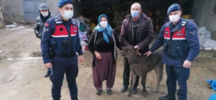 Eskişehir'de aranan hayvan hırsızlığı zanlıları Gürcistan'a kaçarken Artvin'de yakalandı