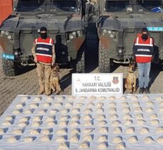 Hakkari'de 48 kilogram eroin ele geçirildi