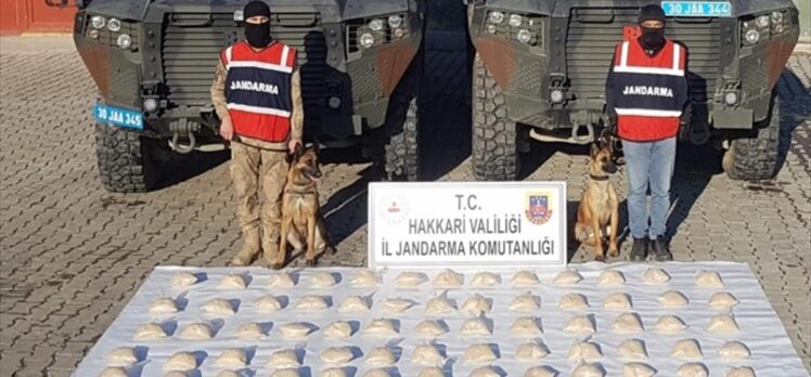 Hakkari'de 48 kilogram eroin ele geçirildi