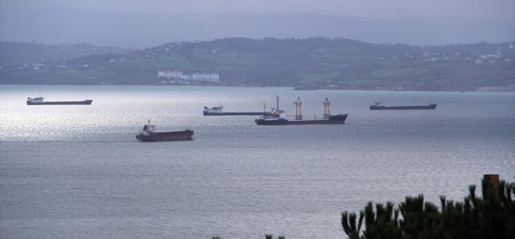 Karadeniz'deki fırtınadan kaçan gemiler Sinop doğal limanına sığındı