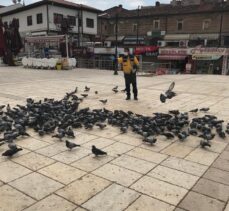 Kastamonu Belediyesi 20 mahallede sokak hayvanları ile kuşları besledi