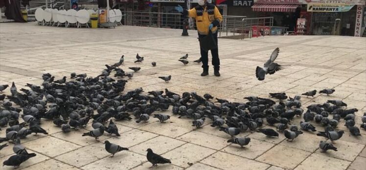 Kastamonu Belediyesi 20 mahallede sokak hayvanları ile kuşları besledi