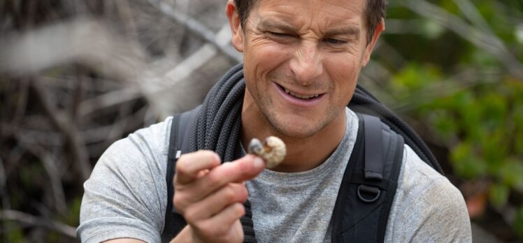 Netflix, Animals on The Loose: A You vs Wild Movie'nin ilk görsellerini paylaştı