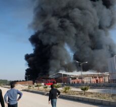 Şanlıurfa'da lojistik deposunda yangın