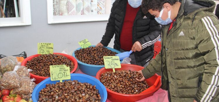 Sinop'ta kurak geçen mevsim kestane rekoltesini olumsuz etkiledi