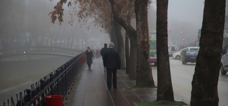 Kastamonu'da yoğun sis ulaşımda aksamalara yol açıyor