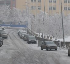 Ağrı ve Kars'ta soğuk hava etkisini sürdürüyor