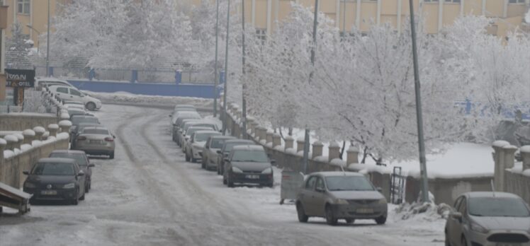 Ağrı ve Kars'ta soğuk hava etkisini sürdürüyor