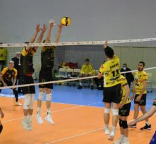 Voleybol: AXA Sigorta Efeler Ligi