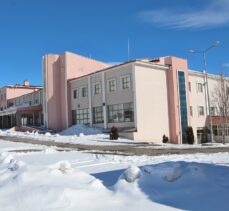 Diyarbakırlı iki usta sağlık çalışanlarına destek için Karlıova Devlet Hastanesini ücretsiz boyadı