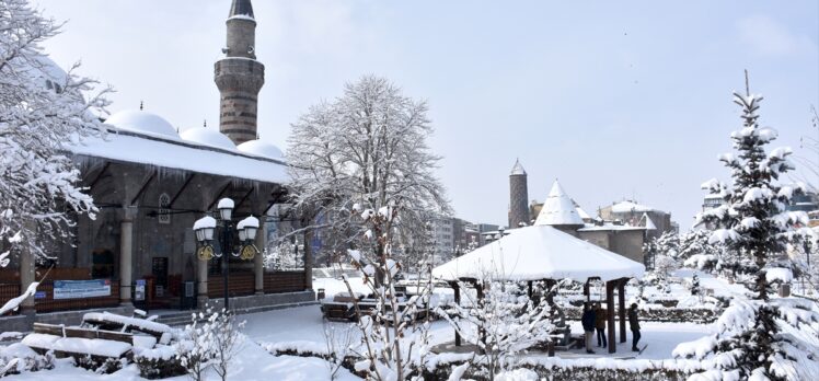 Doğu Anadolu'da kar yağışı ve soğuk hava etkili oluyor