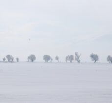 Doğu Anadolu'nun en soğuk şehri sıfırın altında 19 dereceyle Ağrı oldu