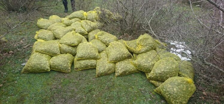 Edirne'de kaçak toplanan 750 kilogram kum midyesi ele geçirildi