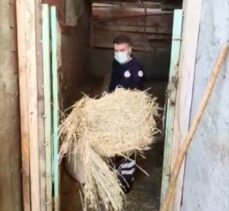 Amasya'da sağlık görevlileri, Kovid-19 nedeniyle karantinadaki kadının hayvanlarını besledi