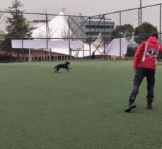 Bahçelievler’de arama kurtarma köpekleriyle deprem tatbikatı yapıldı