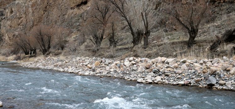 Divriği'deki Çaltı Çayı, yürüyüş yolu ve asma köprüleriyle turist çekecek