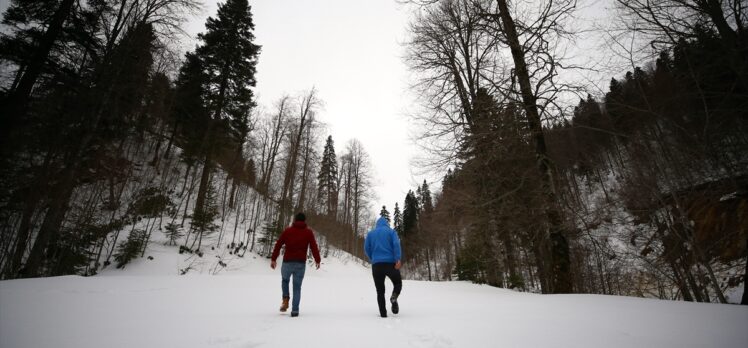 Düzce ve Bolu'nun yüksek kesimleri beyaza büründü