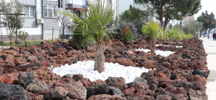 Manisa'da su tasarrufu için uygulanan “kaya bahçeleri” yaygınlaşıyor