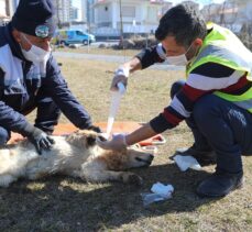 Talas Belediyesinin Pati Kurtaran Acil Müdahale Aracı “can dostların” yardımına koşuyor