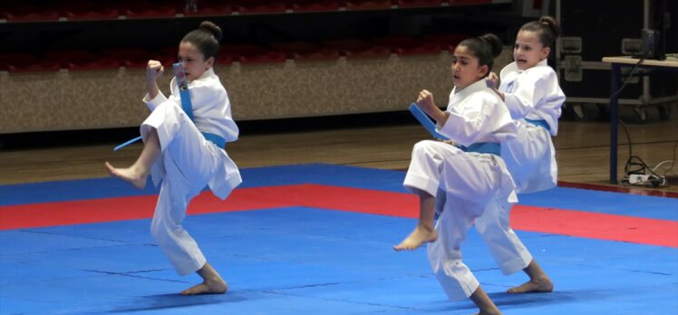 Türkiye Kulüplerarası Takım Karate Şampiyonası, Yalova'da başladı