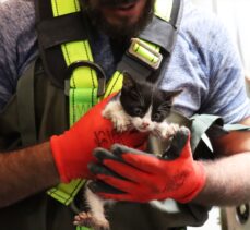 Kilis'te su kuyusuna düşen 2 kedi yavrusu kurtarıldı