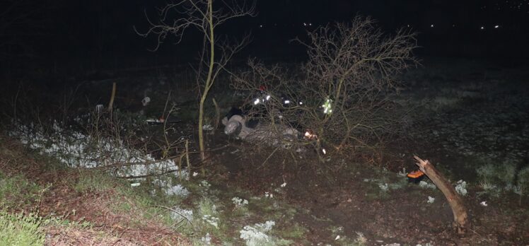 Sakarya'da ağaca çarpan pikabın sürücüsü öldü