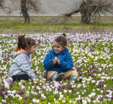 Tunceli'nin ovaları kardelen, nergis ve düğün çiçekleriyle rengarenk oldu