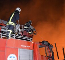 GÜNCELLEME- Afyonkarahisar'da biyokütle enerji santralinde yangın çıktı (2)