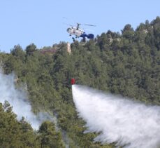 Alanya'nın tarihi kale yamacında çıkan orman yangını söndürüldü