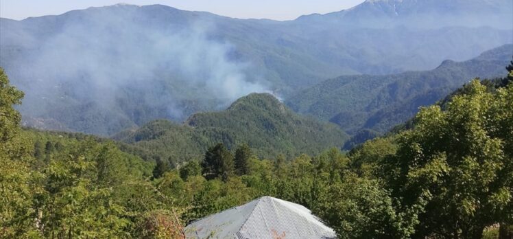 Amanos Dağları'ndaki örtü yangınına müdahale ediliyor