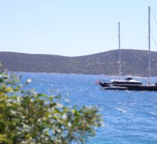 Bodrum'a “mavi tur” için gelen turistler denize “güvenli” açılacak