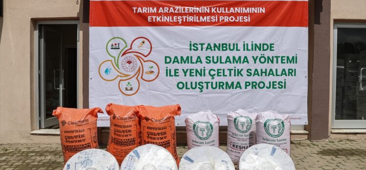 Çatalca'da çiftçilere çeltik tohumu ve damlama sulama boruları dağıtıldı