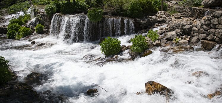 Doğa tutkunlarının gözde adresi Munzur Gözeleri'nde ilkbahar güzelliği