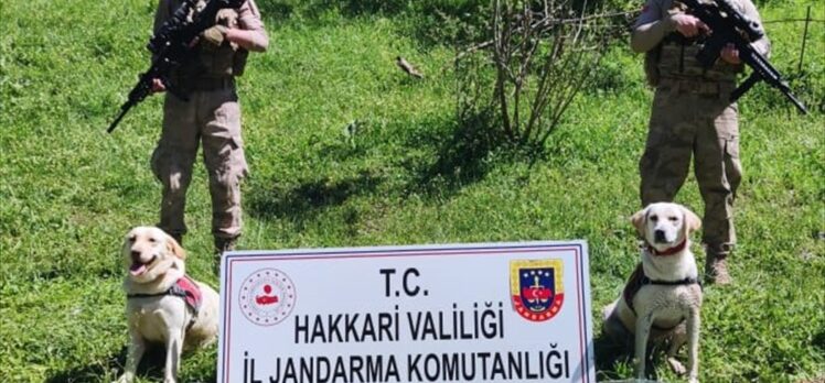 Hakkari'de terör örgütü PKK'ya yönelik operasyonda silah, patlayıcı ve mühimmat ele geçirildi