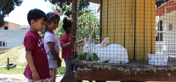 Hatay'da öğretmenler anaokuluna mini hayvanat bahçesi kurdu