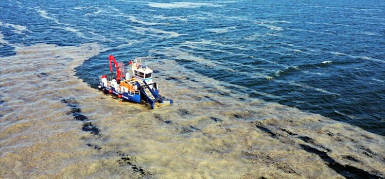 İzmit Körfezi'nde 50 günde 150 ton deniz salyası toplandı