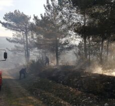 GÜNCELLEME – Kastamonu'da çıkan orman yangını kontrol altına alındı