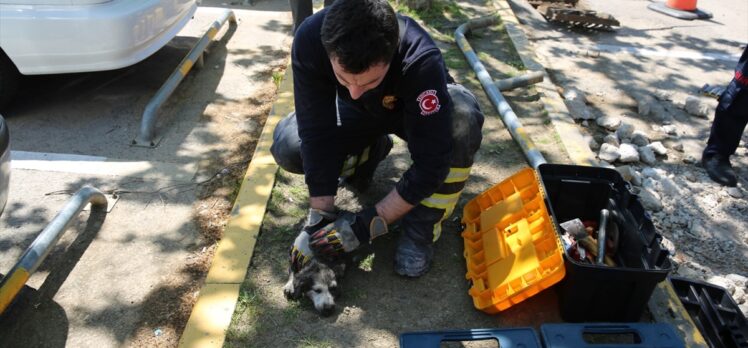 Kocaeli'de itfaiye ekipleri yavru köpeği sıkıştığı su kanalından kurtardı