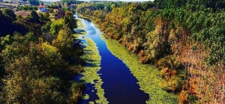 Sakarya'nın tarihi, kültürel ve turizm değerleri Orta Doğu'nun en büyük turizm fuarında tanıtılacak