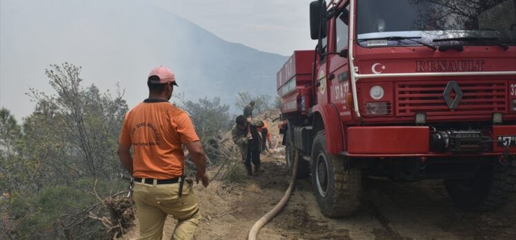 Sinop'ta çıkan orman yangını kontrol altına alındı