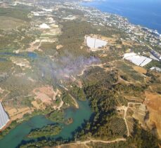 Alanya'da çıkan yangında 10 dönüm orman alanı zarar gördü