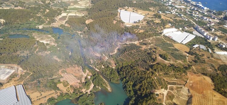 Alanya'da çıkan yangında 10 dönüm orman alanı zarar gördü