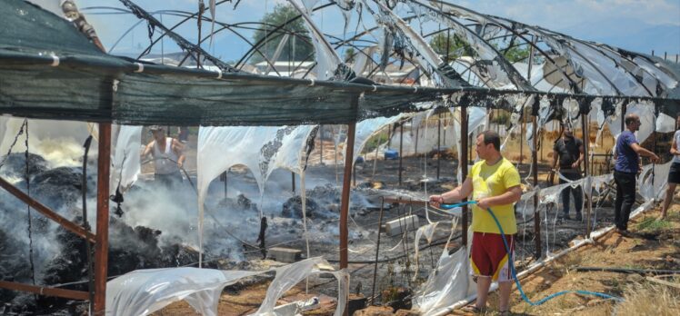 Antalya'da kuru çiçek serasında çıkan yangın hasara neden oldu