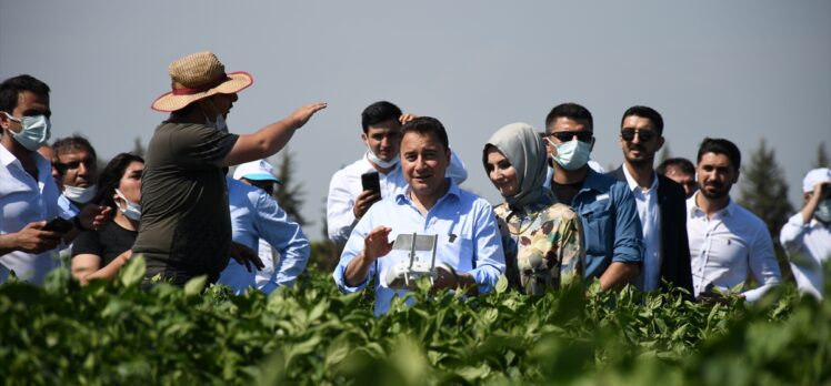DEVA Partisi Genel Başkanı Babacan, Adana'da partisinin tarım eylem planını anlattı