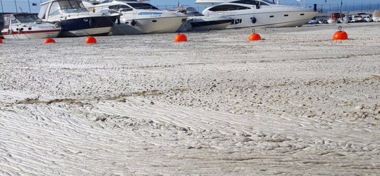 Diş hekiminin tekneden çektiği görüntülere Marmara'daki müsilaj yoğunluğu yansıdı