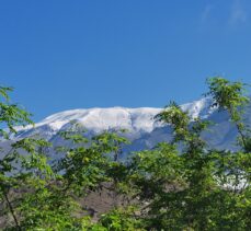 Erzincan'daki Esence Dağı haziranda yağan kar ile yeniden beyaza büründü