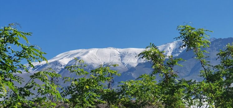 Erzincan'daki Esence Dağı haziranda yağan kar ile yeniden beyaza büründü