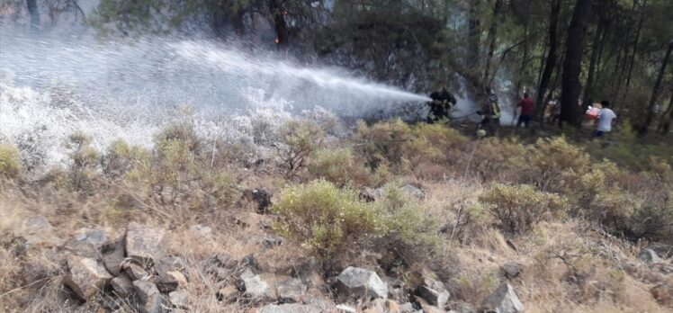 Fethiye'deki orman yangını söndürüldü