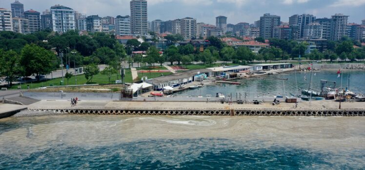 İstanbul'da müsilaj etkisini sürdürüyor